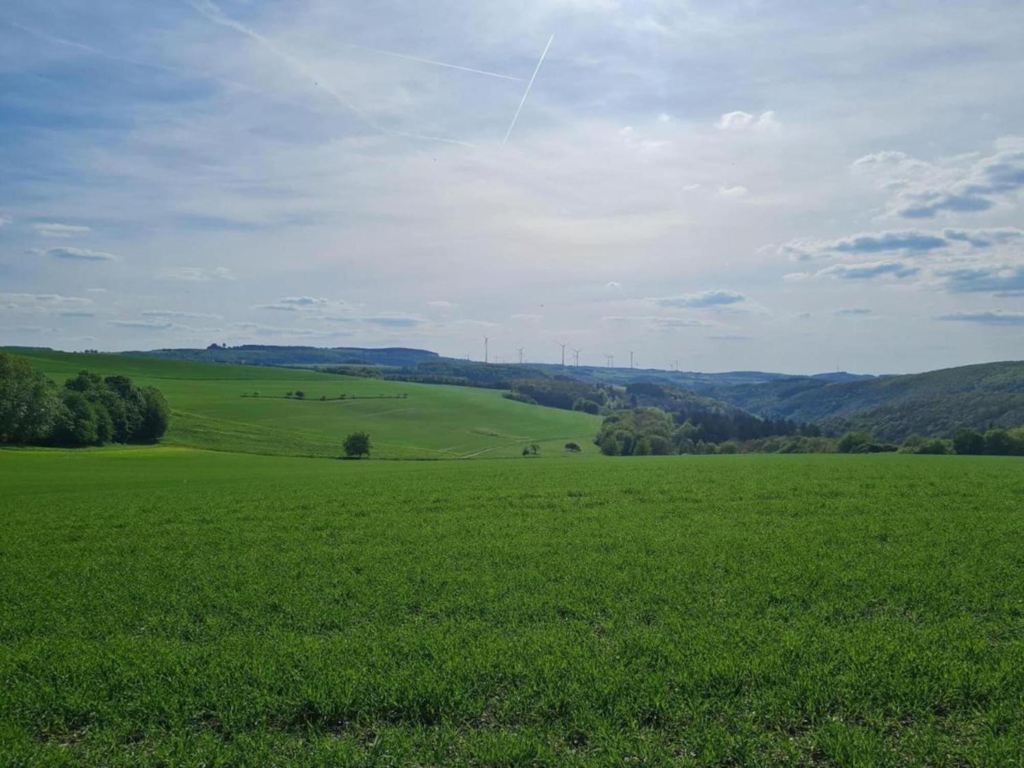 Tranquil Holiday Home In Filz In The Eifel With Garden Zewnętrze zdjęcie